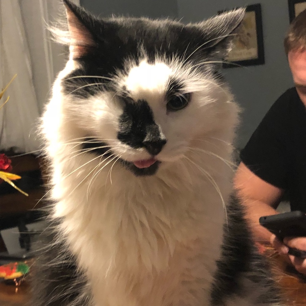 Meet your Posher, Marissa